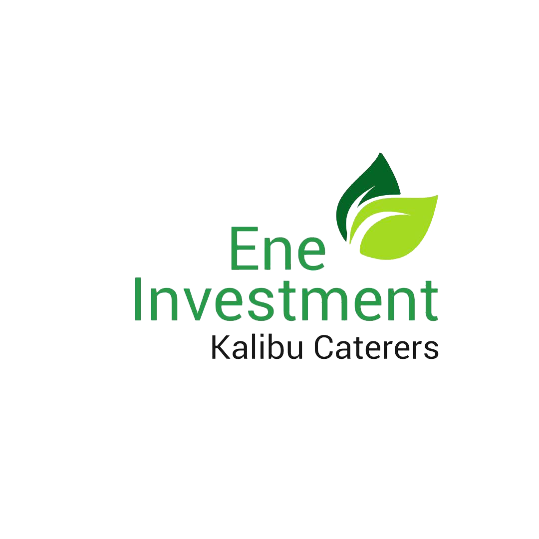 ENE Group of Companies Logo